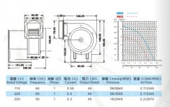 CY100/45W